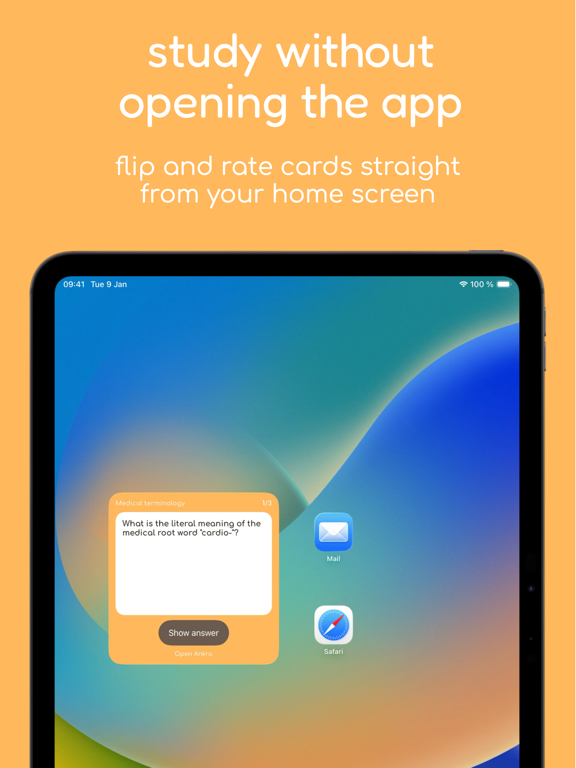 Ankra: AI Notes & Flashcards iPad screenshot