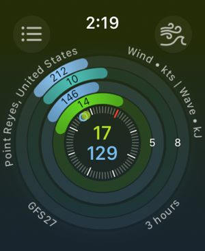 ‎Windy.app - Wind & Weather Screenshot
