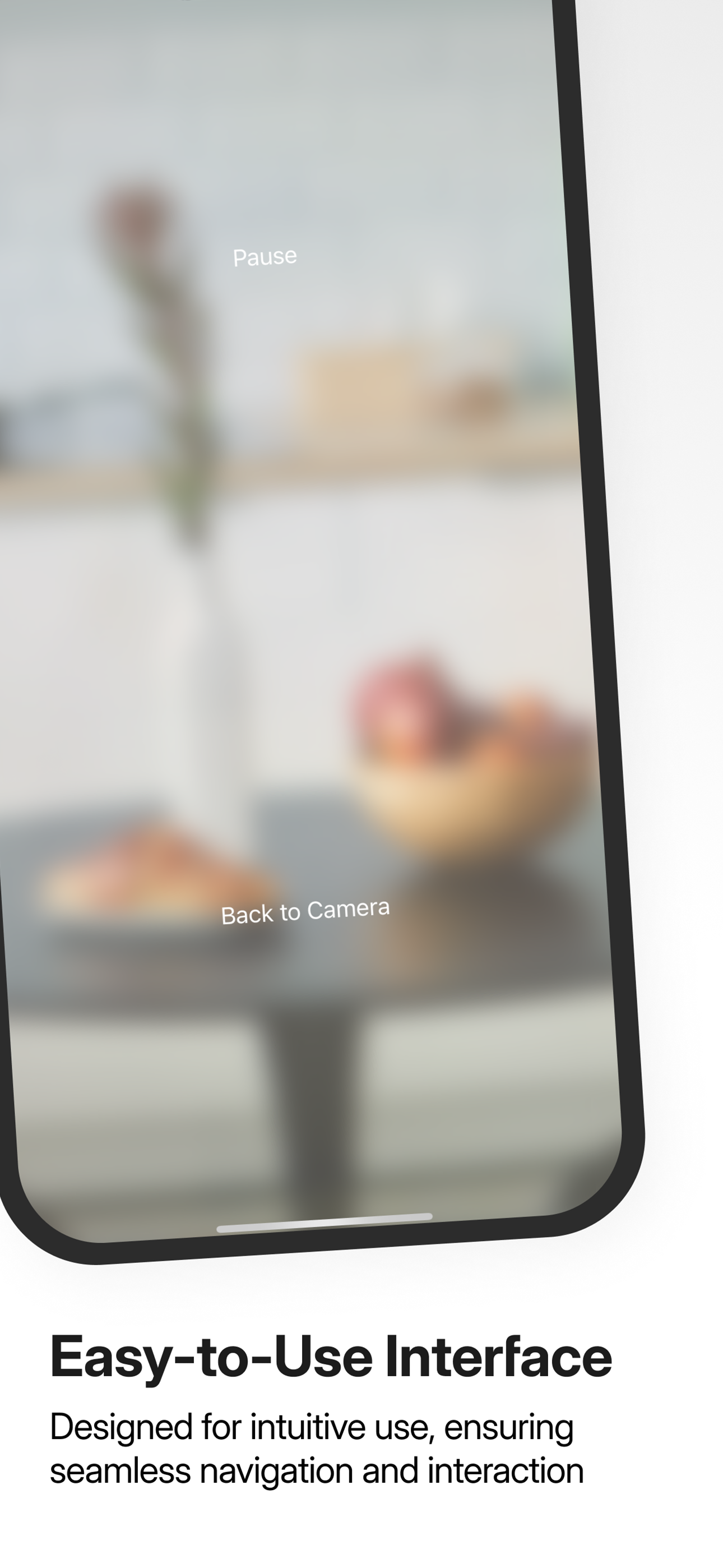 VoiceVision: Helping the Blind screenshot 4