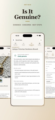 Antique Identifier - AntiqID iPhone screenshot