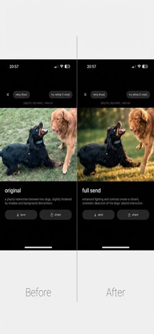 post – photos are stories iPhone screenshot