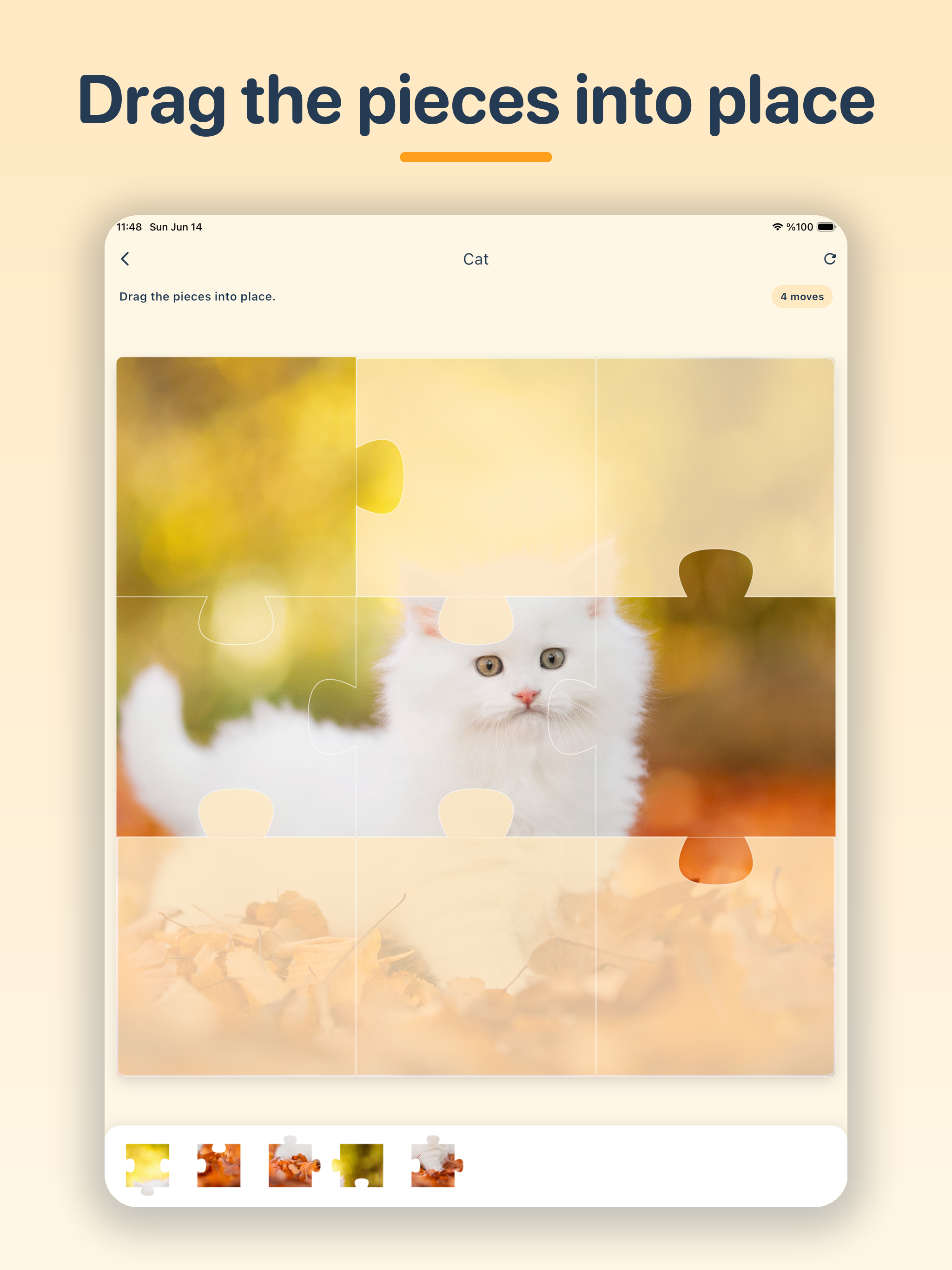 SmartSnap: Adaptive Puzzles screenshot 9