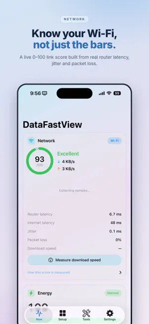 DataFastView screenshot 1