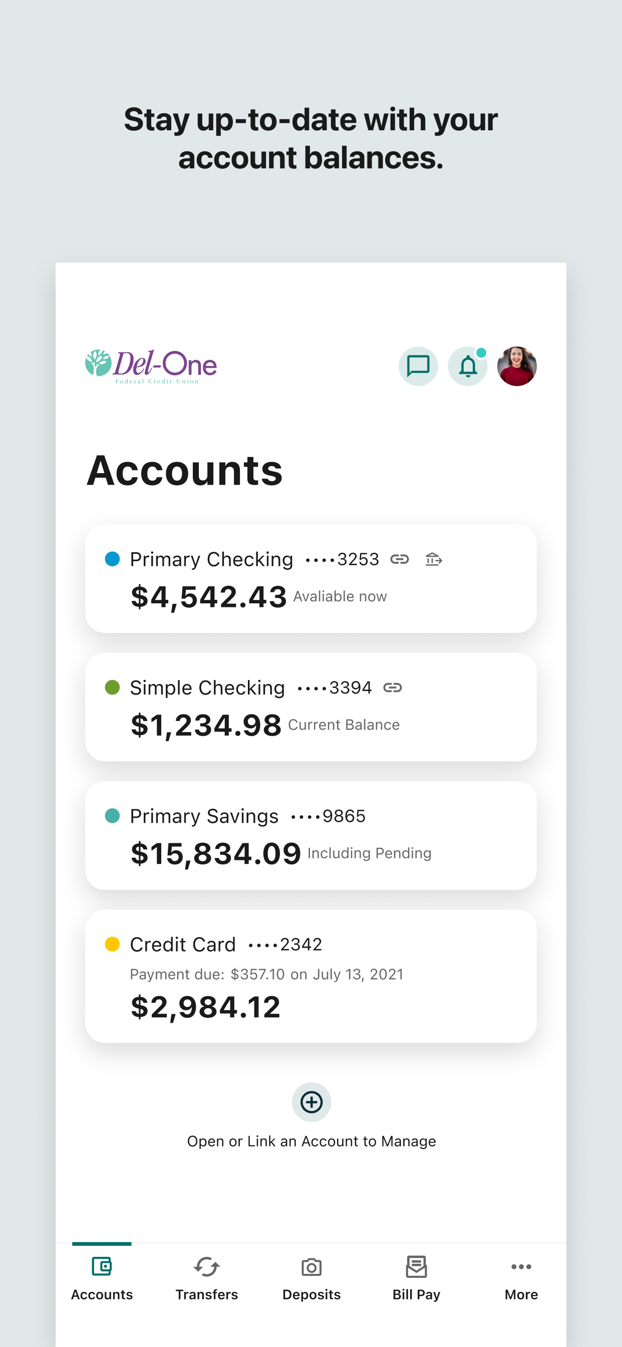 Del-One FCU screenshot 6