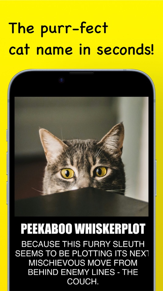 #2. NameThatCat - AI Cat Names (iOS) 由: AI Digital, LLC