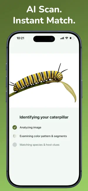 Caterpillar Identifier－Scan AI screenshot 2