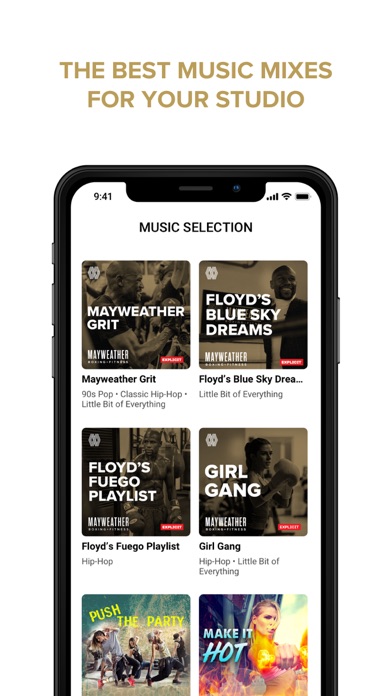 Mayweather Music Screenshot