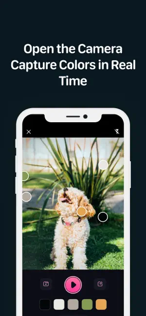 ColorStar - AI Color Palette screenshot 2