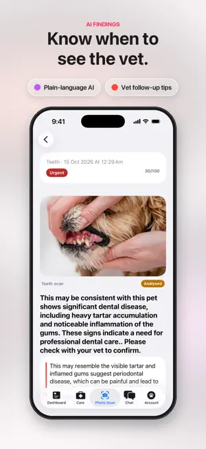 Pawly AI screenshot 4