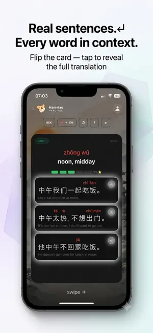 HamHao: Learn Chinese with HSK screenshot 4