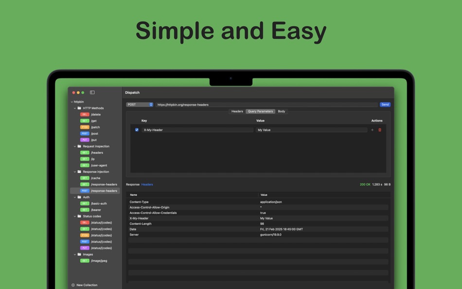 #3. Dispatch API Client (macOS) 게시자: Fimm Software Studio