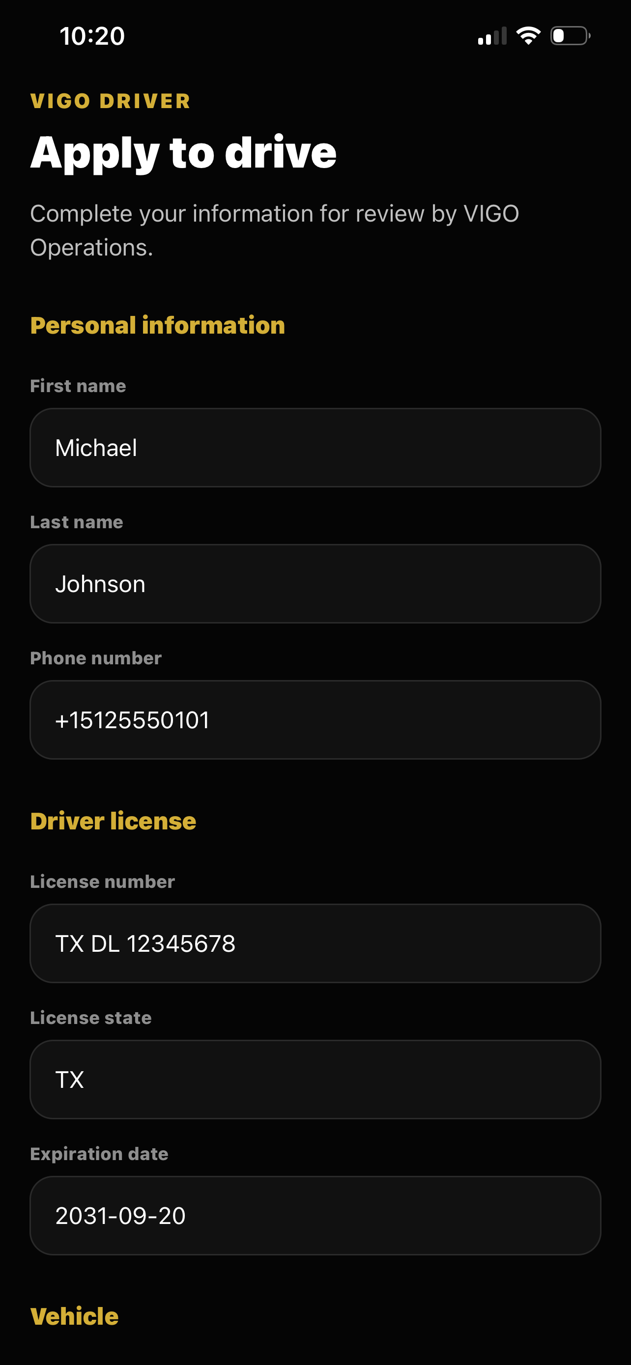 VIGO Driver Pro screenshot 2