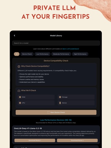 OneLLM : Private & Online LLM iPad screenshot