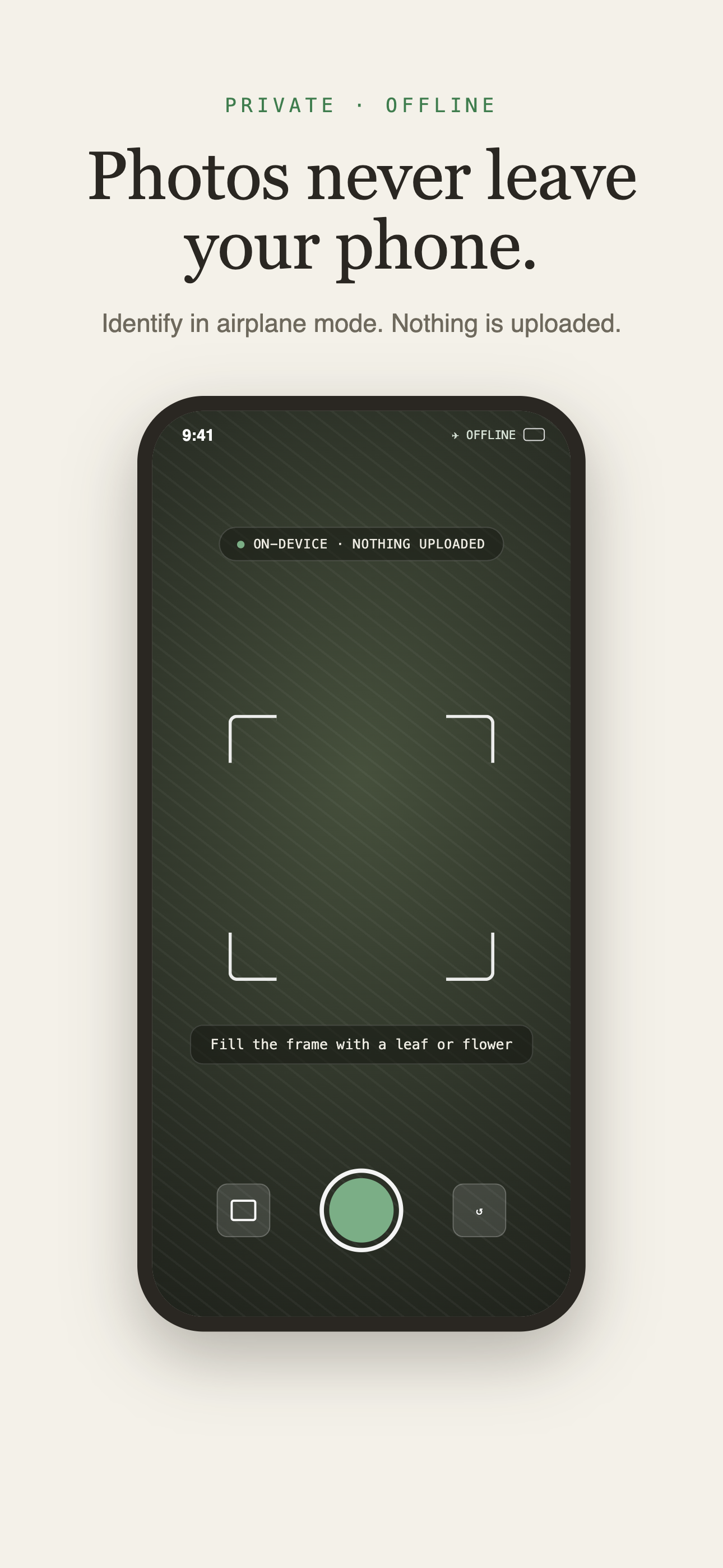 PlantDex: Detect Plants