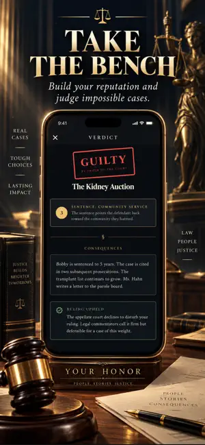 Your Honor: Judge Simulator screenshot 2