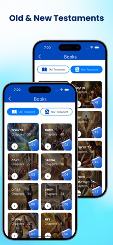 Hebrew Bible Offline screenshot