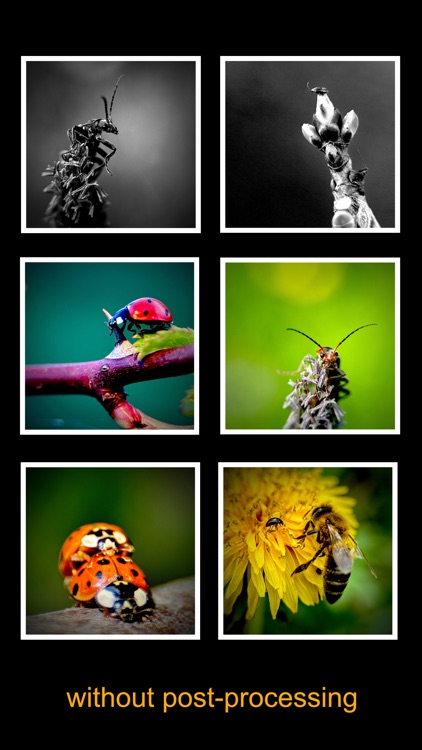 BlaX Macro Camera screenshot-3