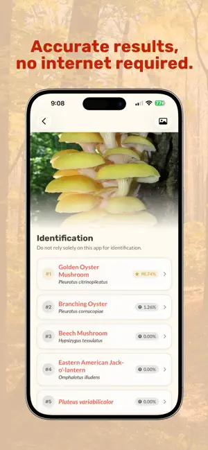 Mushroom AI: Smart Identifier screenshot 2