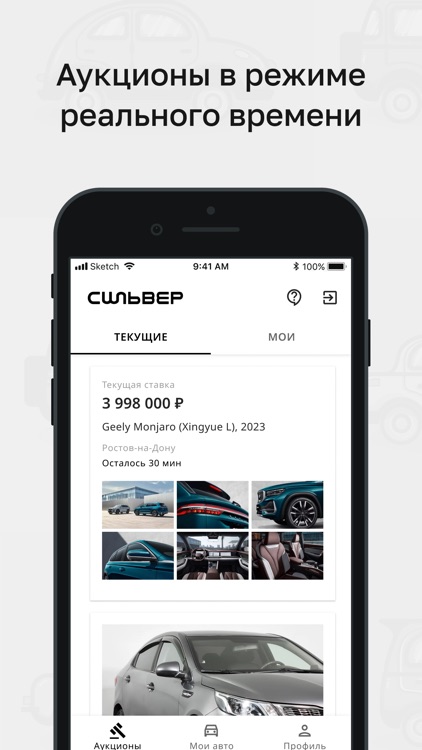 Сильвер Автомобильный Аукцион