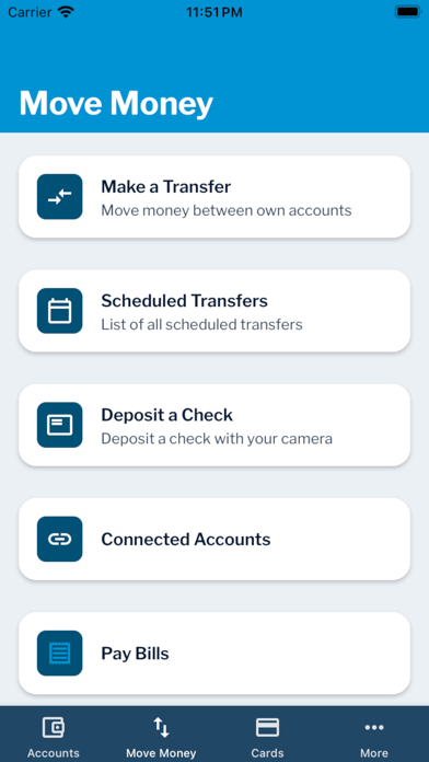 Blue Digital Screenshot