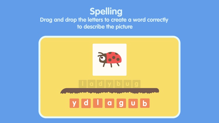 Insects and Bugs for kids