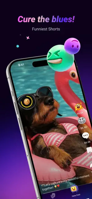 Haha Hub: LOLs & Good Vibes screenshot 1