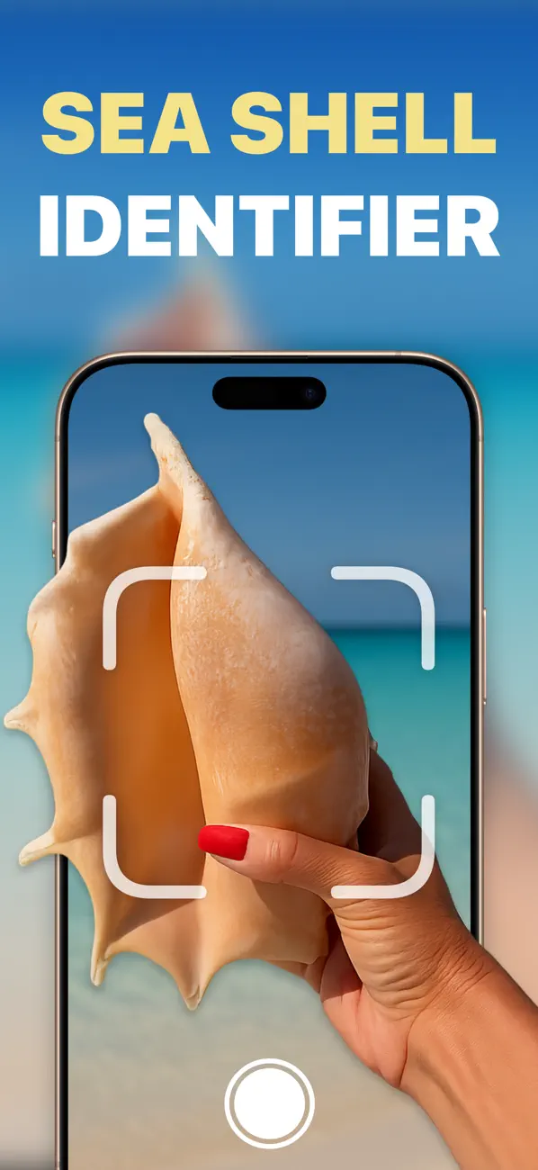 #1. Sea Shell Identifier - Shellie (iOS) di: NBApps