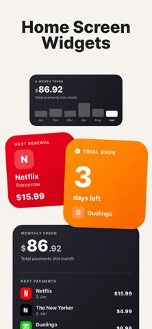 Subscription Tracker by Sorka iPhone screenshot