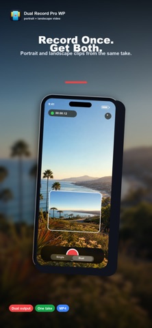 Dual Record Pro WP screenshot