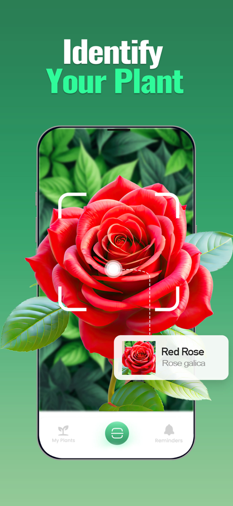 Plant Buddy - Plant Identifier screenshot 4