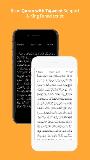 Memorize The Holy Quran screenshot 3