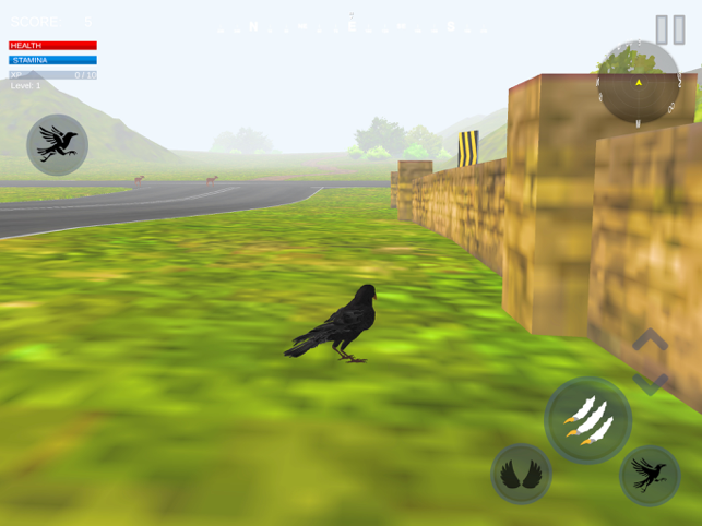 ‎Raven Crow Flight Simulator 3d Screenshot