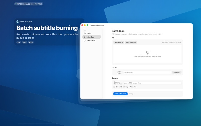 Pinecone Subtitle Burner app screenshot 2