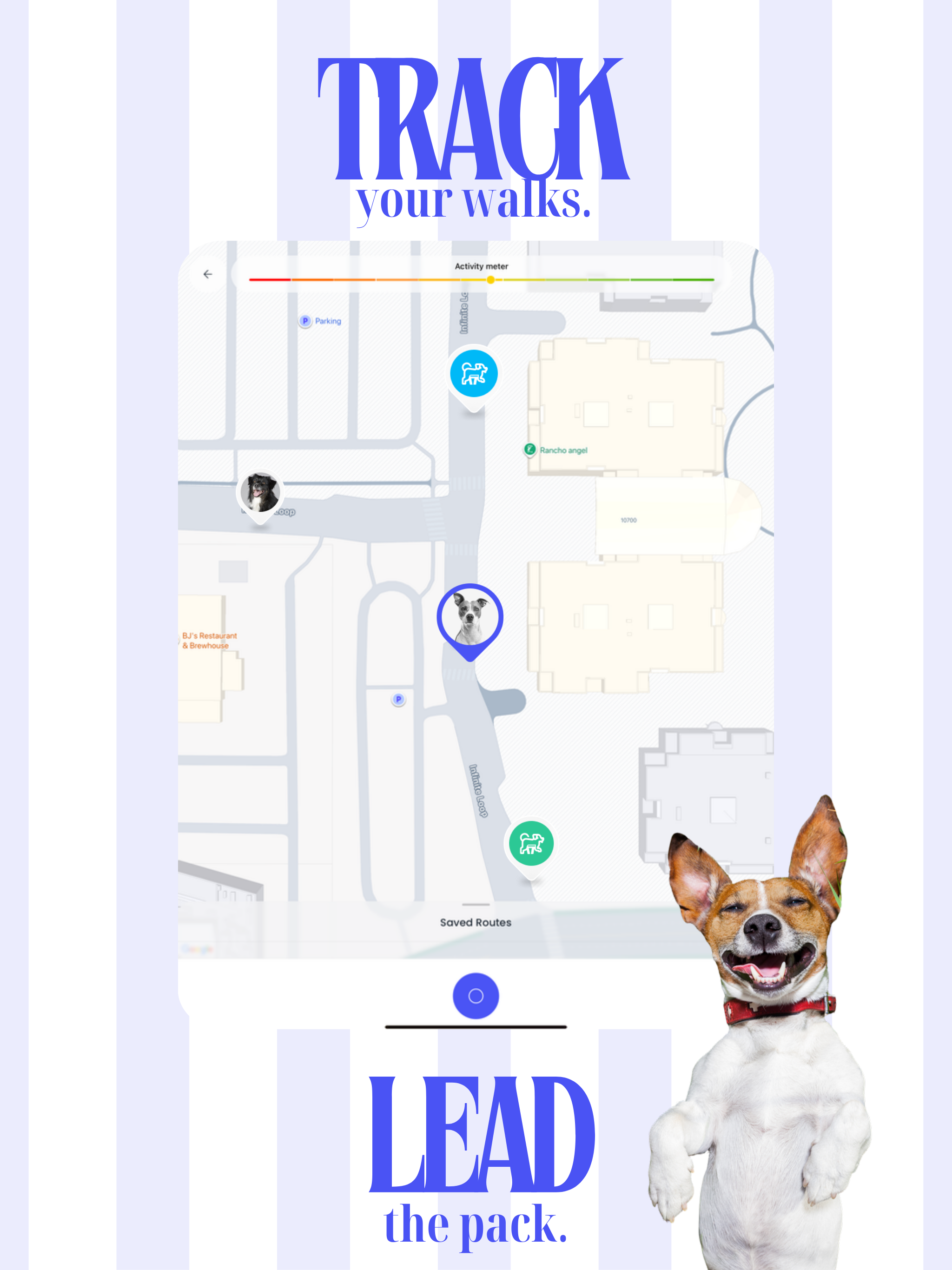 DOGES - Map & Track Dog Walks screenshot 11