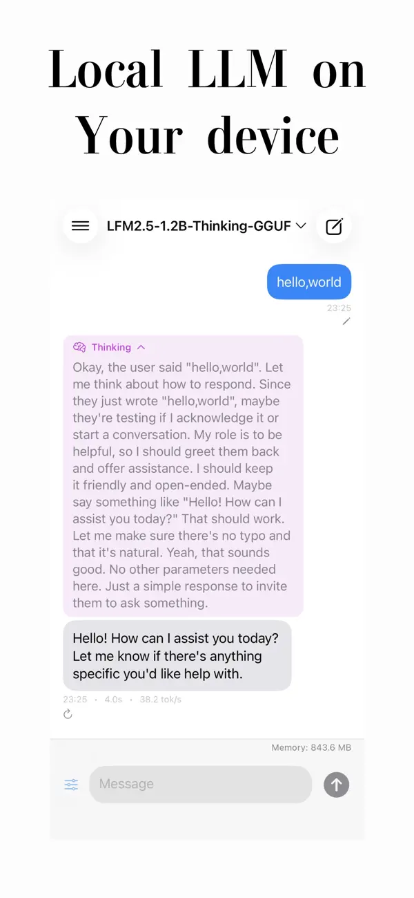 #1. EdgeLLM (iOS) By: Ryo Sato