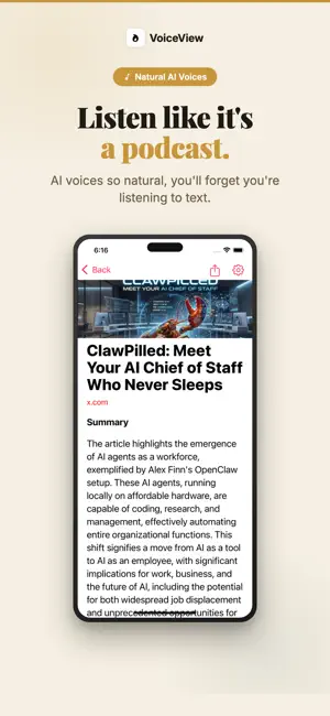 VoiceView screenshot 2