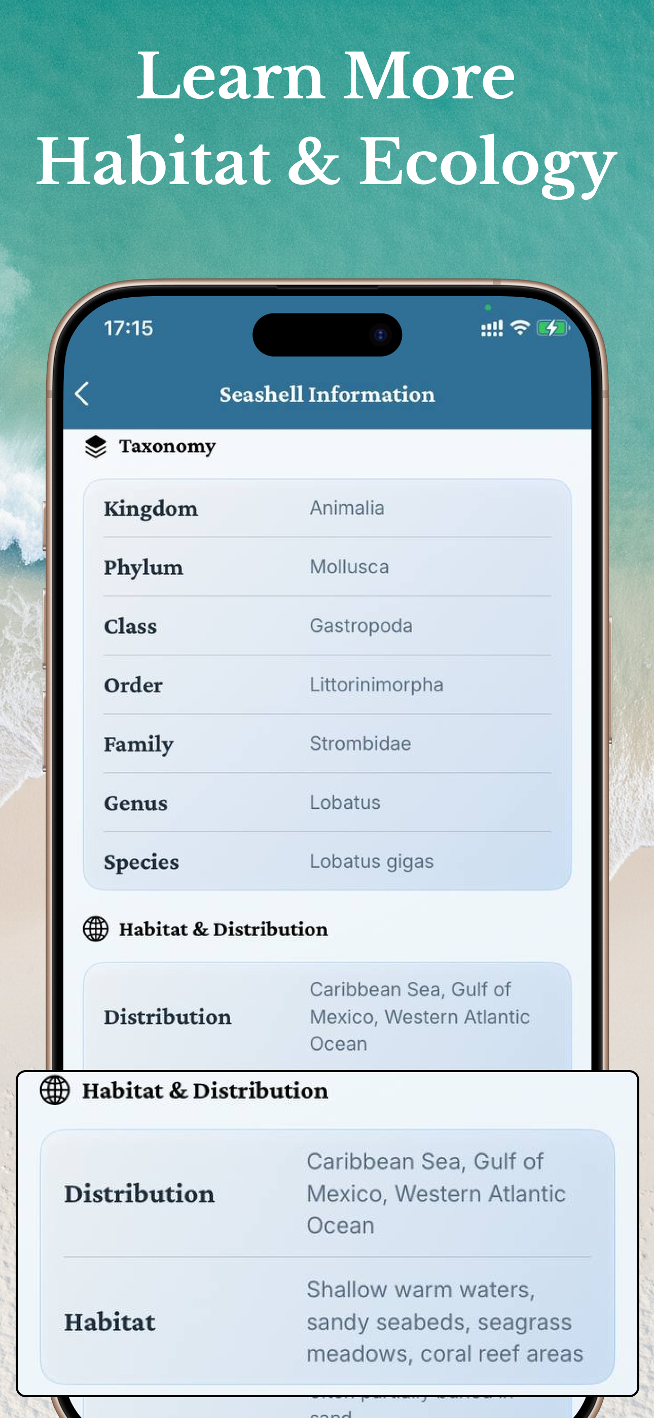 Sea Shell Identifier Collector