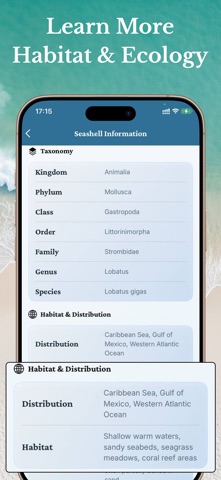 Sea Shell Identifier Collector Screenshot 4 of 7
