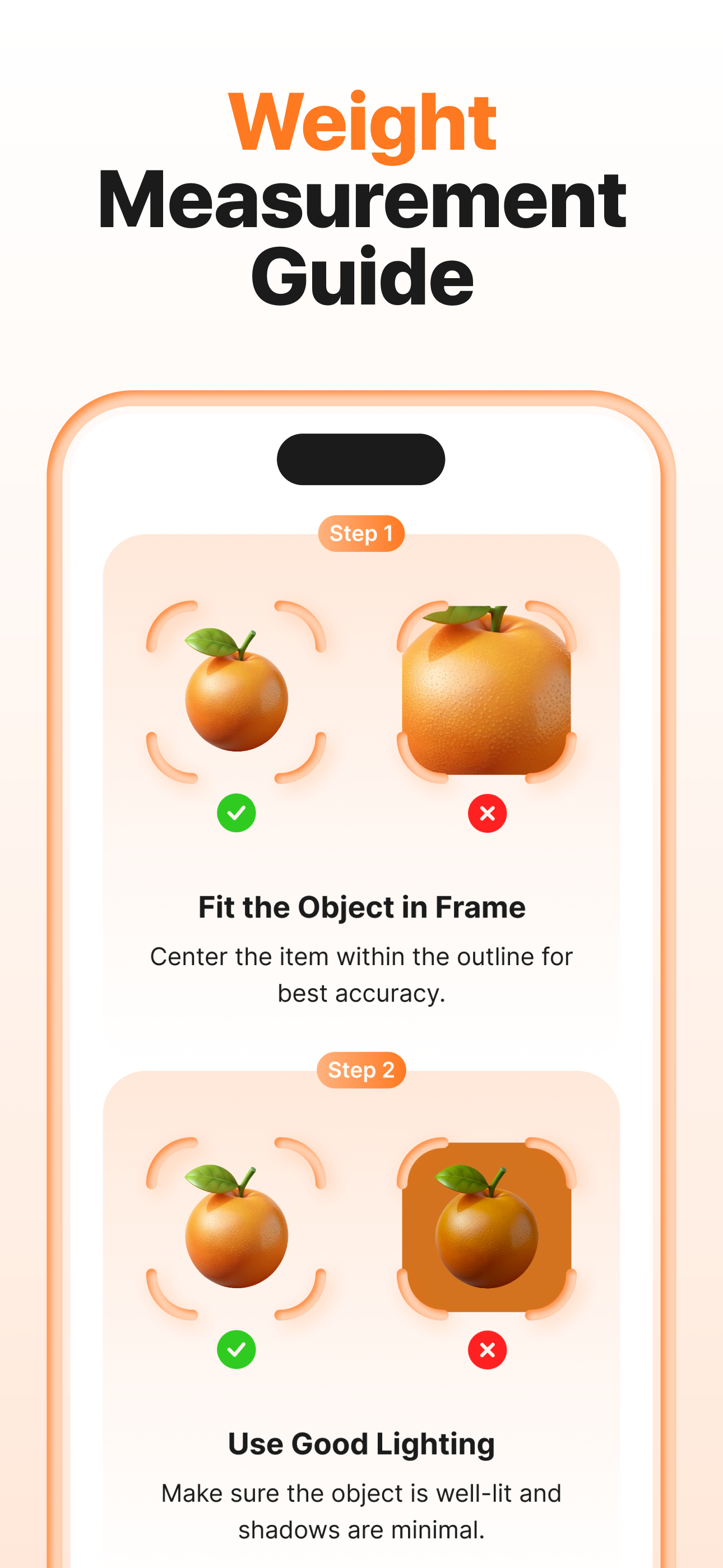 Scale for Grams: AI Weighing
