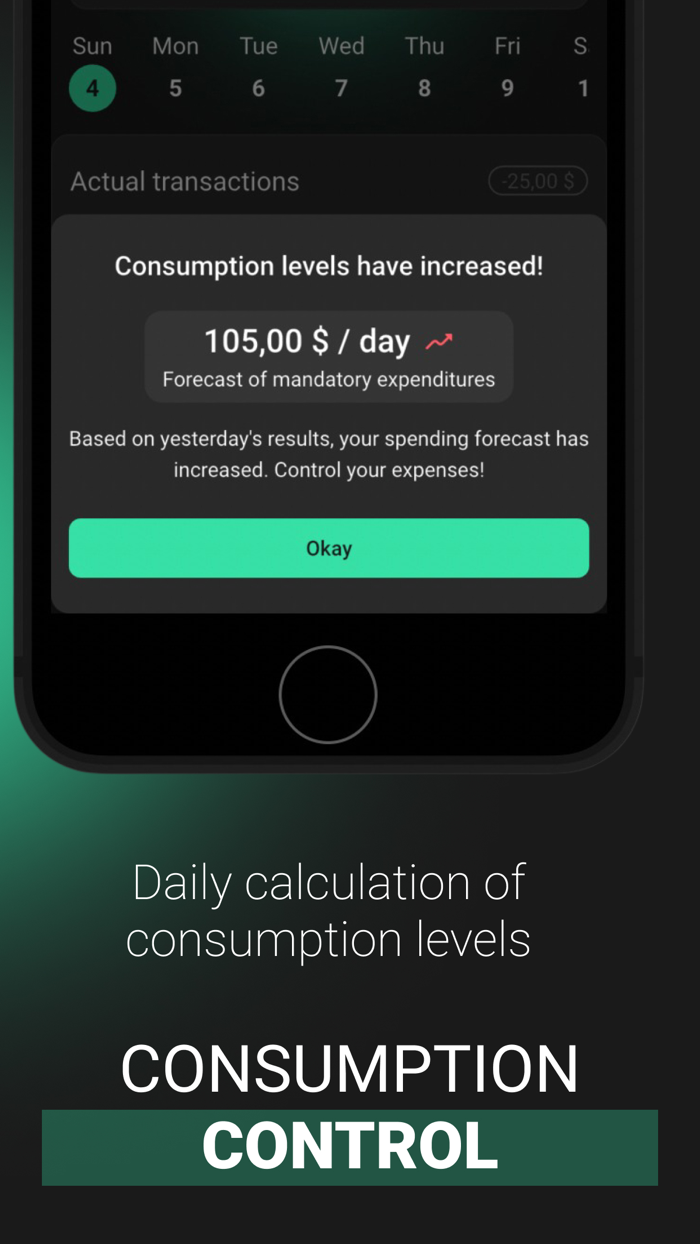 Monety Daily budget planner