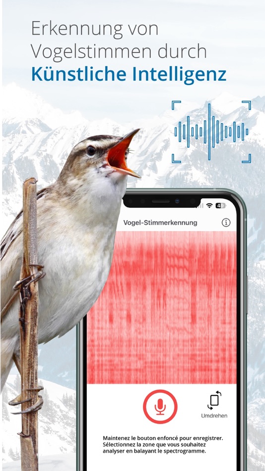 #3. Vogelführer Birdlife Schweiz (iOS) 来自: Sunbird Images OHG