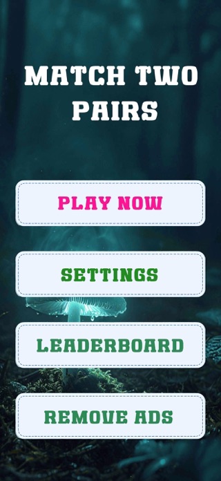 Match Two  Pairs Screenshot 5 of 10