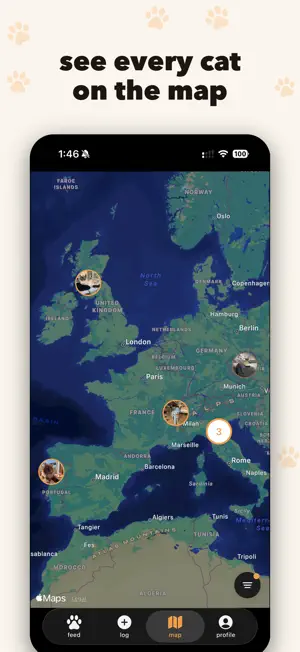 catch (cat tracker) screenshot 2