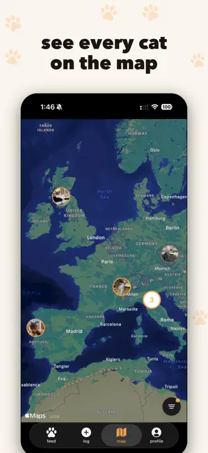 catch (cat tracker) iPhone screenshot 2
