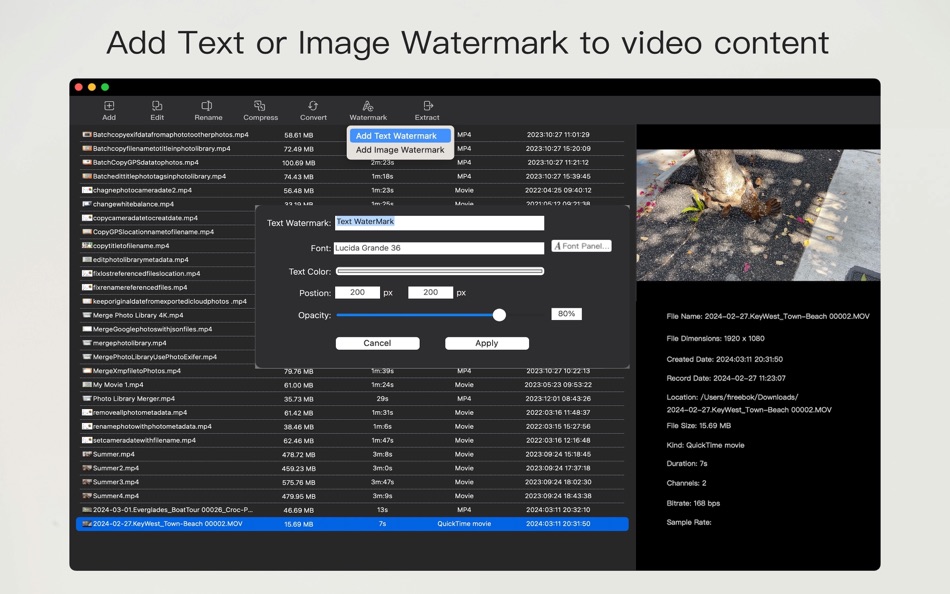 #2. VideoBulk (macOS) 由: 栋 陈