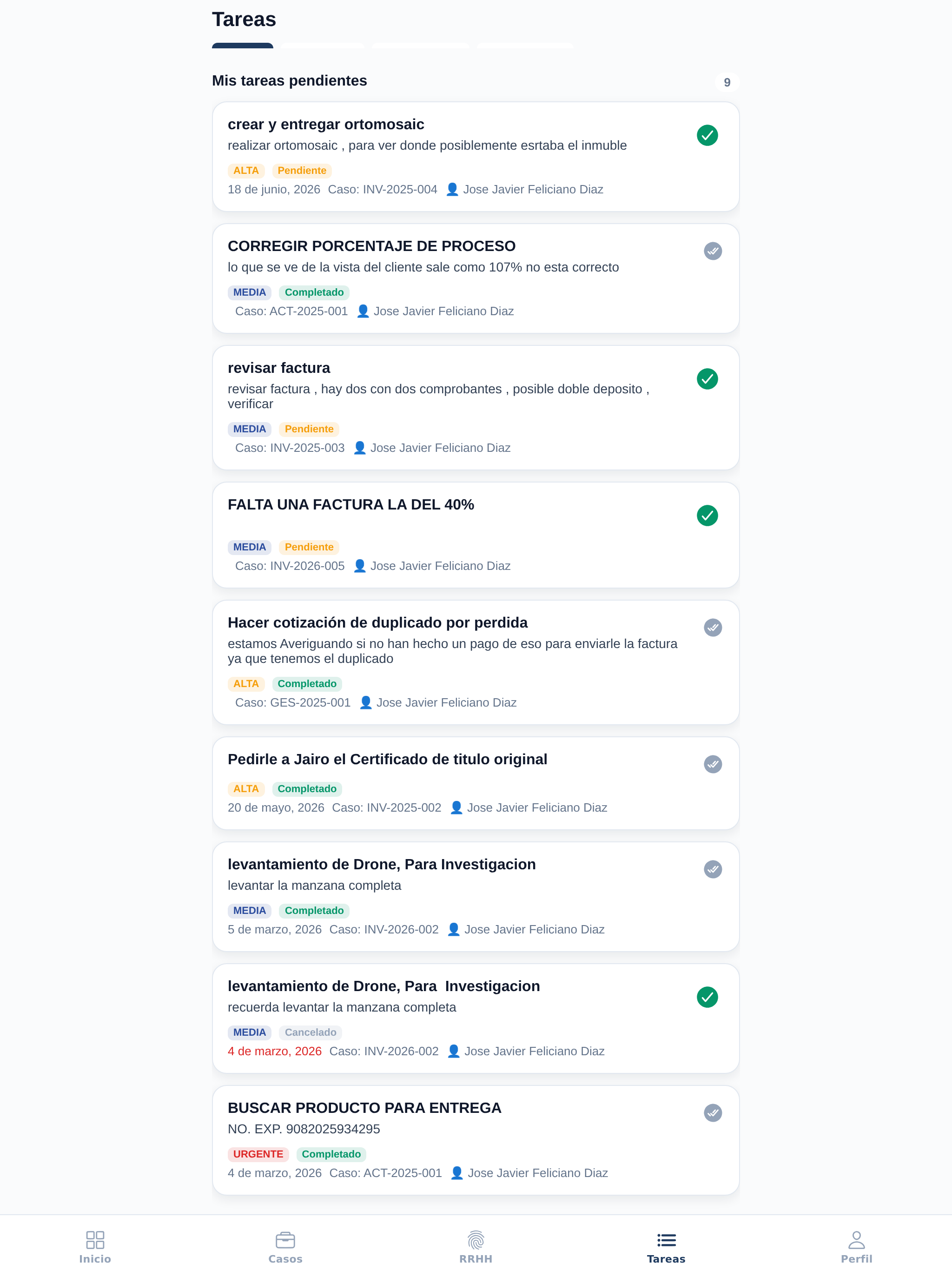 Deslindate screenshot 11