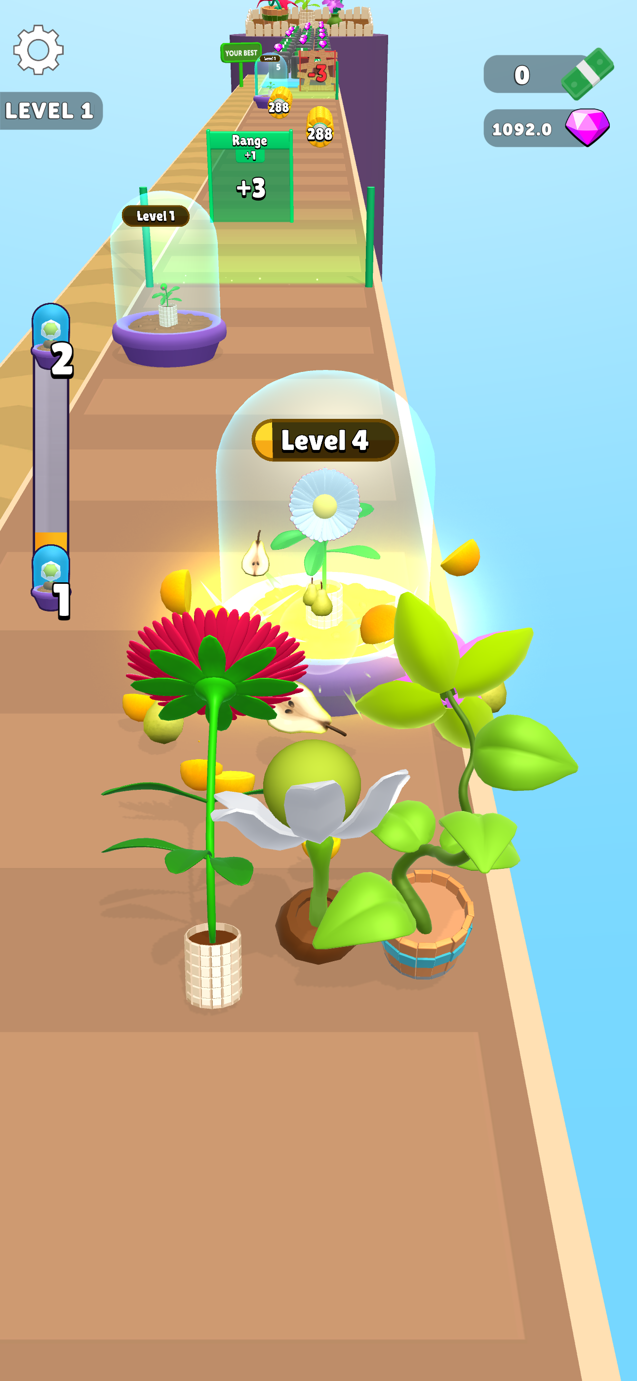 Plants Up