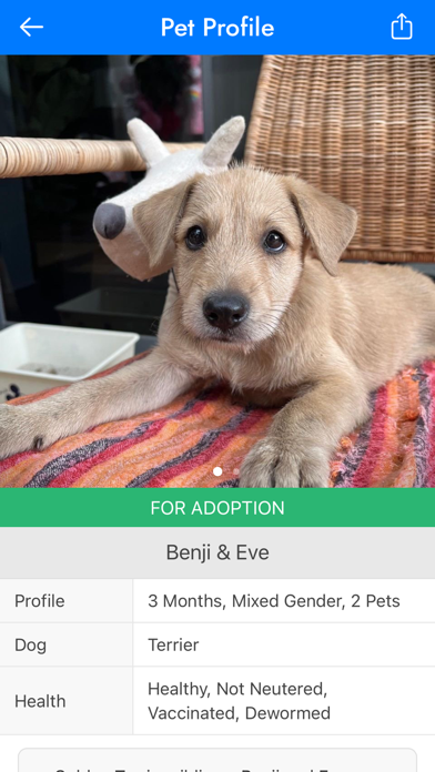 PetFinder.my Screenshot