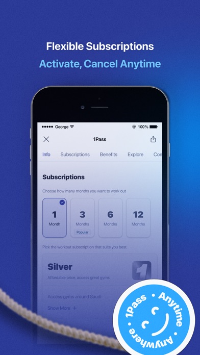 1Pass Screenshot