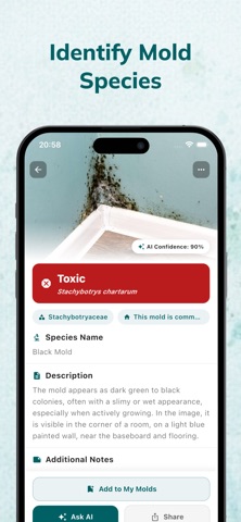 Mold Identifier: AI Inspector Screenshot 2 of 4